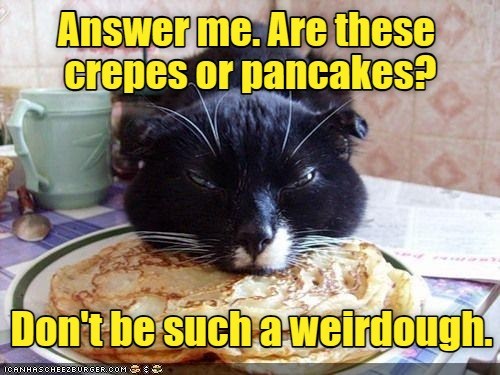 Crepes give me the creeps. - Lolcats - lol | cat memes | funny cats ...