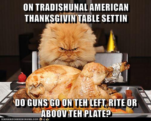 Tradishional Thanksgiving Lolcats Lol Cat Memes Funny Cats Funny Cat Pictures With