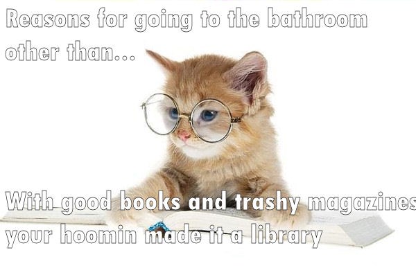 Better than a library - Lolcats - lol | cat memes | funny cats | funny ...