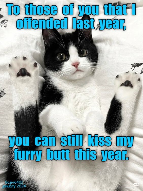Pucker up - Lolcats - lol | cat memes | funny cats | funny cat pictures ...