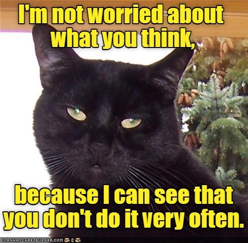 Who needs thinking anyway - Lolcats - lol | cat memes | funny cats ...