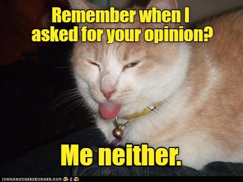 This is my opinion of your opinion. - Lolcats - lol | cat memes | funny ...