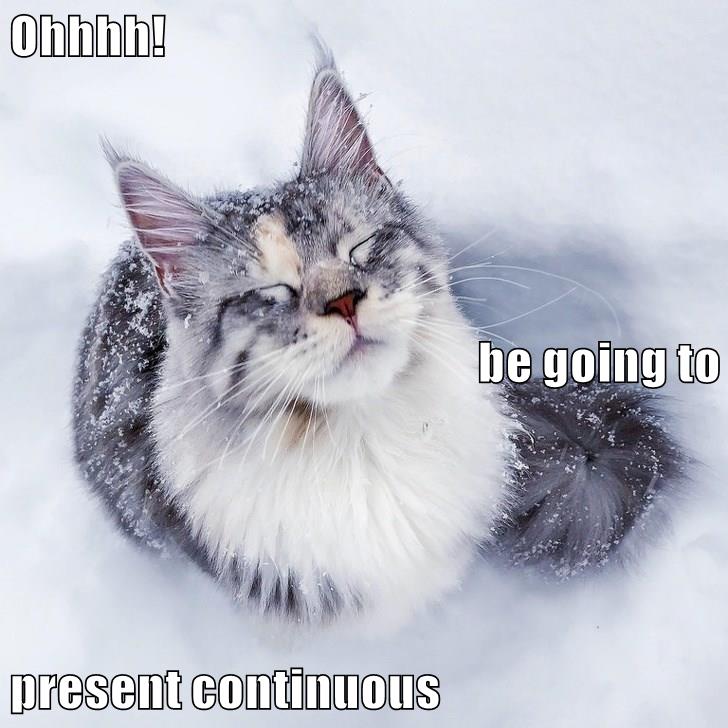 Present continuous - Lolcats - lol | cat memes | funny cats | funny cat ...