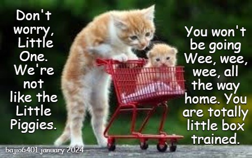 Don't worry - Lolcats - lol | cat memes | funny cats | funny cat ...
