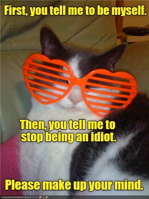 Conflicting Messages Lolcats Lol Cat Memes Funny Cats Funny