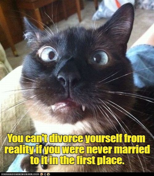 We didn't even really live together - Lolcats - lol | cat memes | funny ...