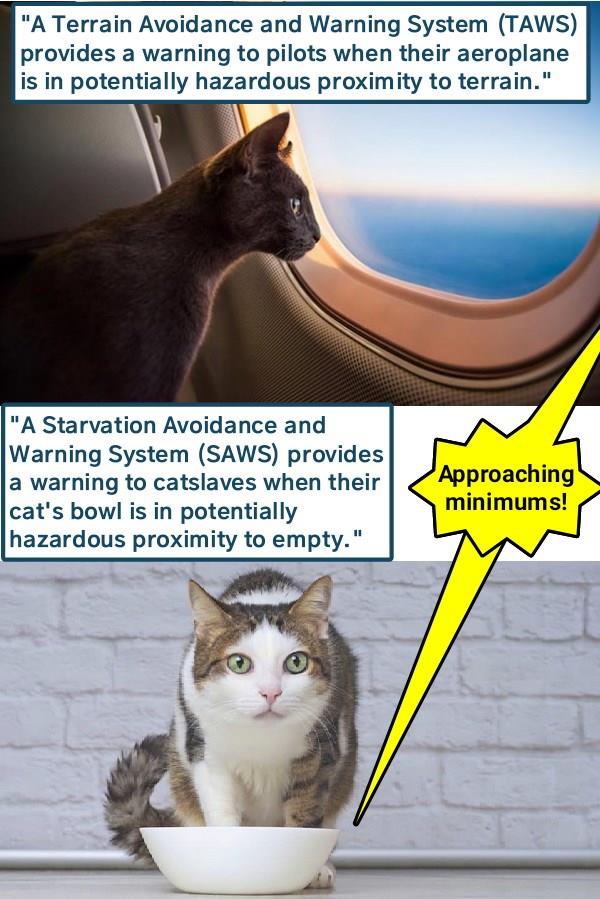 Approaching minimums - Lolcats - lol | cat memes | funny cats | funny ...