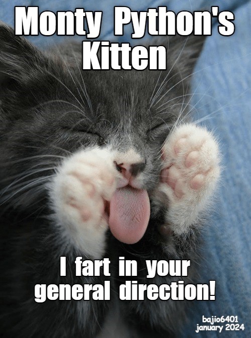 In Your General Direction - Lolcats - Lol 