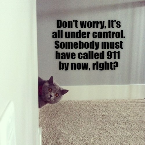 Don't worry, it's all under control. - Lolcats - lol | cat memes ...