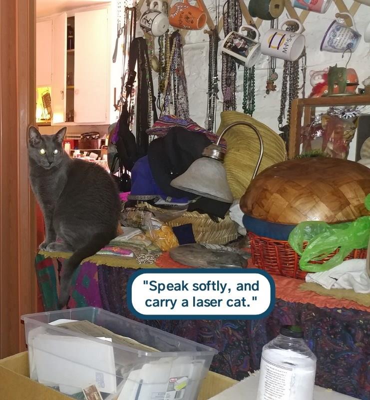 To repel space invaders - Lolcats - lol | cat memes | funny cats ...