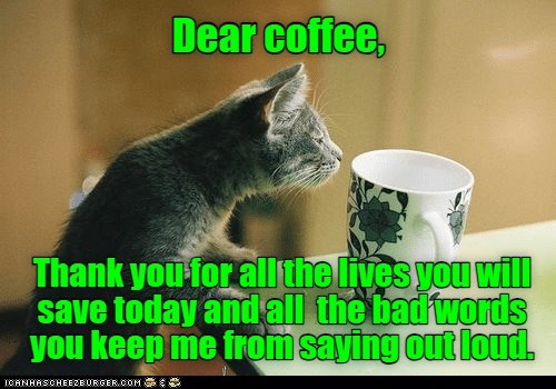 Dear coffee - Lolcats - lol | cat memes | funny cats | funny cat ...