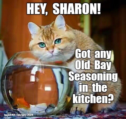 just-asking-lolcats-lol-cat-memes-funny-cats-funny-cat