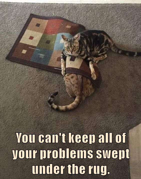 Swept under the rug - Lolcats - lol | cat memes | funny cats | funny ...