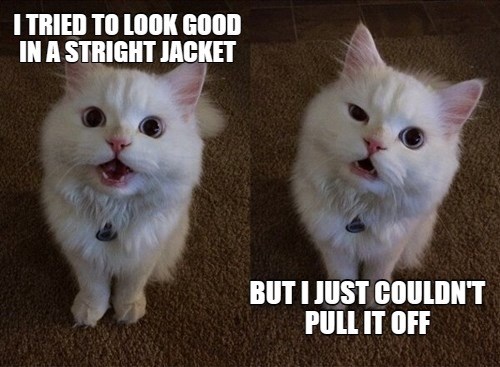 That's Stright Crazy - Lolcats - lol | cat memes | funny cats | funny ...