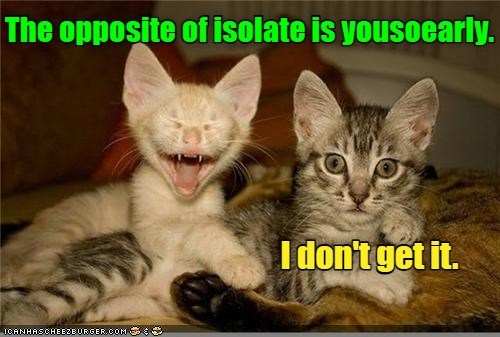 Wordplay isn't for everyone. - Lolcats - lol | cat memes | funny cats ...