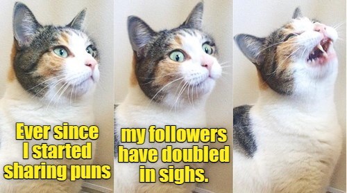 It just had to be said. - Lolcats - lol | cat memes | funny cats ...