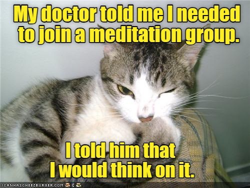 Meditation - Lolcats - lol | cat memes | funny cats | funny cat ...