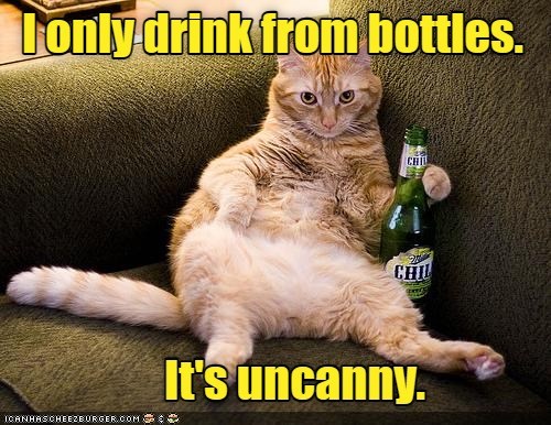 Uncanny - Lolcats - lol | cat memes | funny cats | funny cat pictures ...