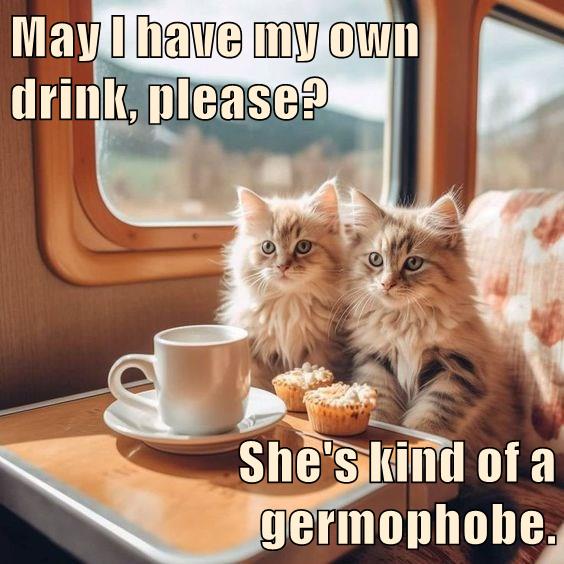 Germaphobe Lolcats lol cat memes funny cats funny cat