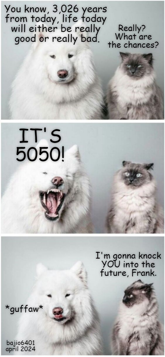 JOKE #57 - Lolcats - lol | cat memes | funny cats | funny cat pictures ...