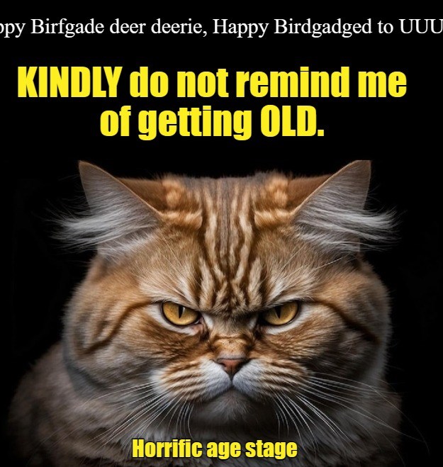 Horrific Age Stage - Lolcats - Lol 