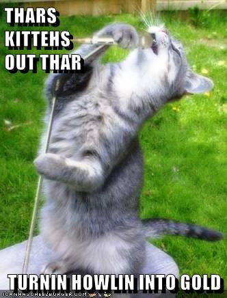 Singing with the heart - Lolcats - lol | cat memes | funny cats | funny ...