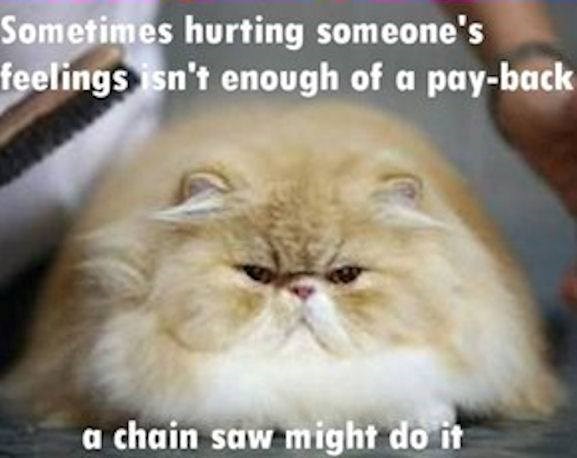 The right tool is required - Lolcats - lol | cat memes | funny cats ...