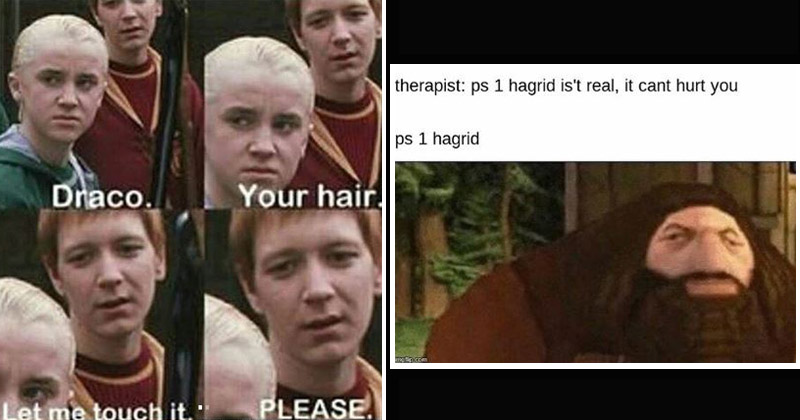 Sixteen Harry Potter Memes That Contain Sirius Comedy Memebase Funny Memes