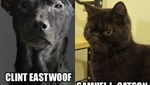 Two of the Animal Kingdom's Finest Actors