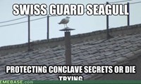 Conclave Seagull is on Watch!