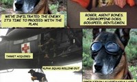 Bones, the One Dog Army