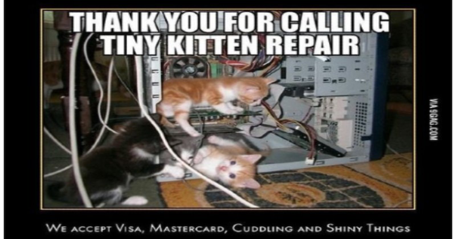 Fifteen Cats From Tech Support Who Are Busy Making An Update To Your PC ...