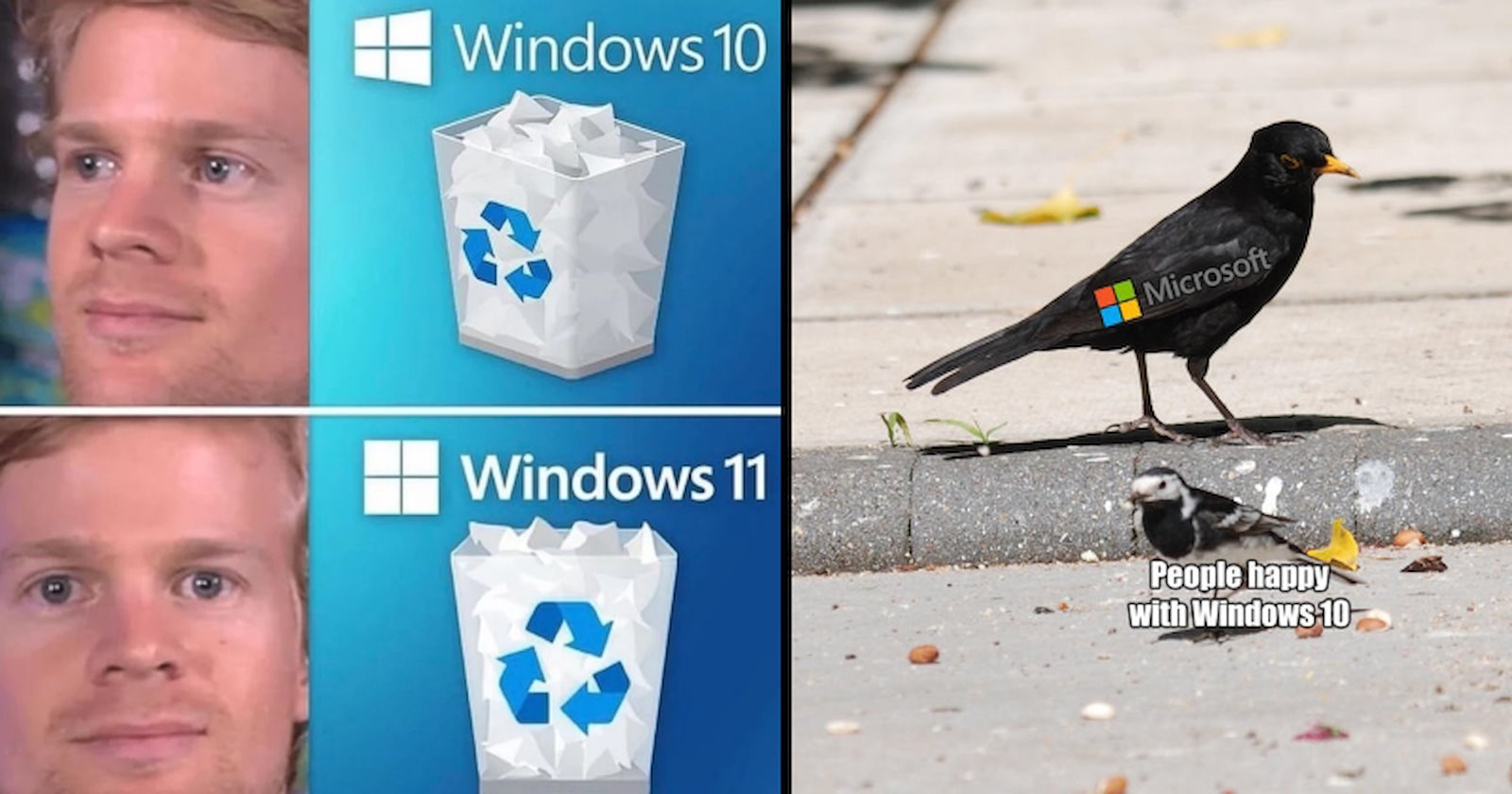 All The Catty Memes That Cannibalized The Windows 11 Launch - Memebase ...