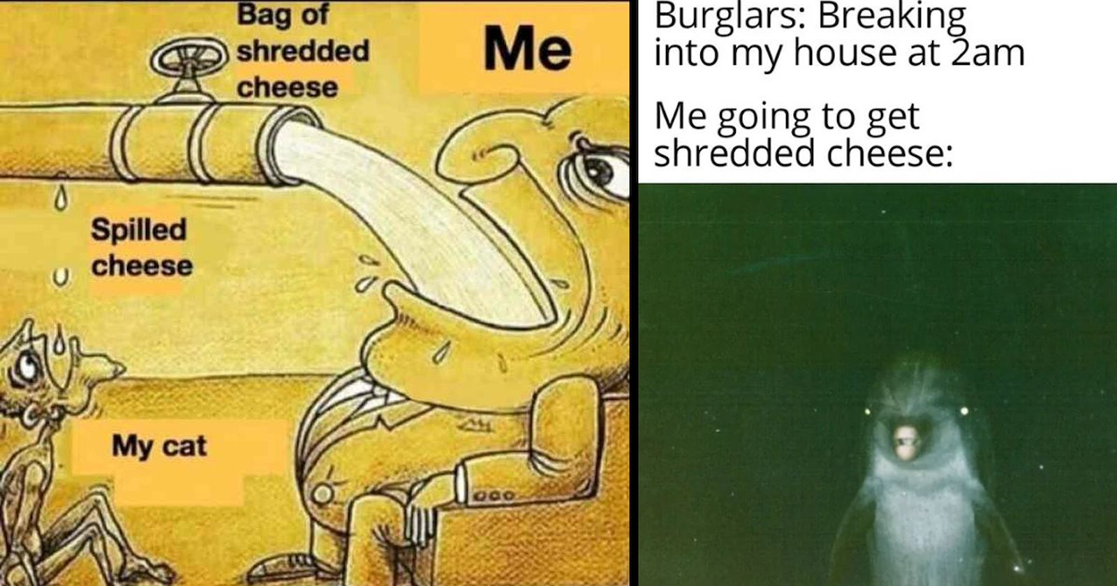 A Stacked Board of Cheese Memes for Salivating Over - Memebase - Funny ...