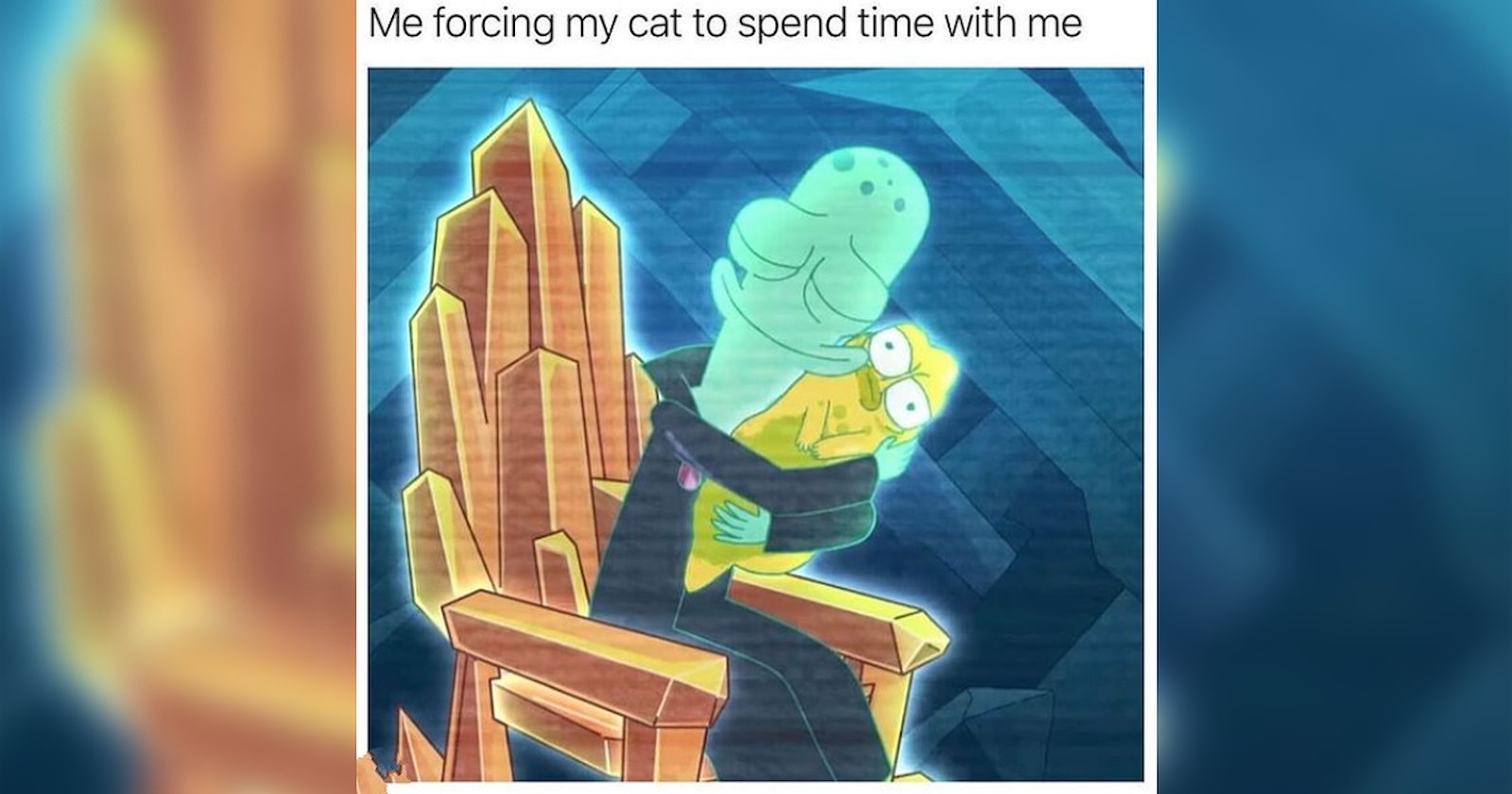 Funniest Kitty Memes for People Whose Cat Might Hate Them - I Can Has ...