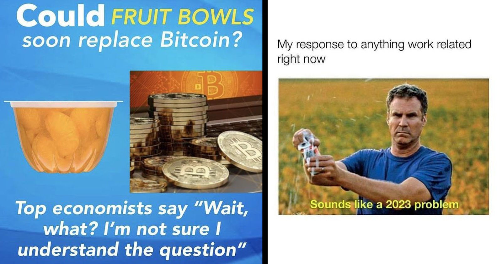 Memes That Are a Real Hoot and Holler - Memebase - Funny Memes