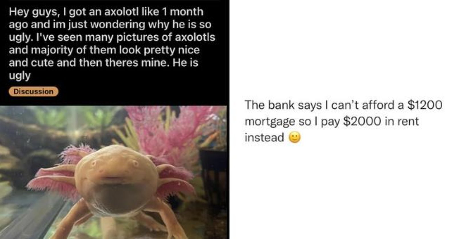Best Batch of 20 Random MEIRL Memes that Define Real Life - FAIL Blog ...