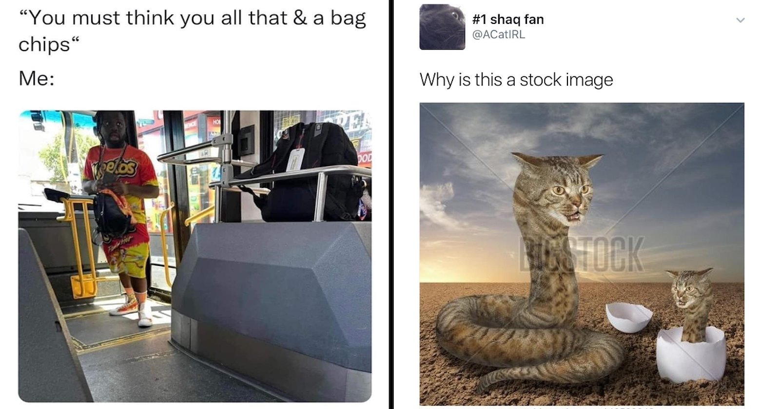 33 Memes That Are Ol' Reliable - Memebase - Funny Memes