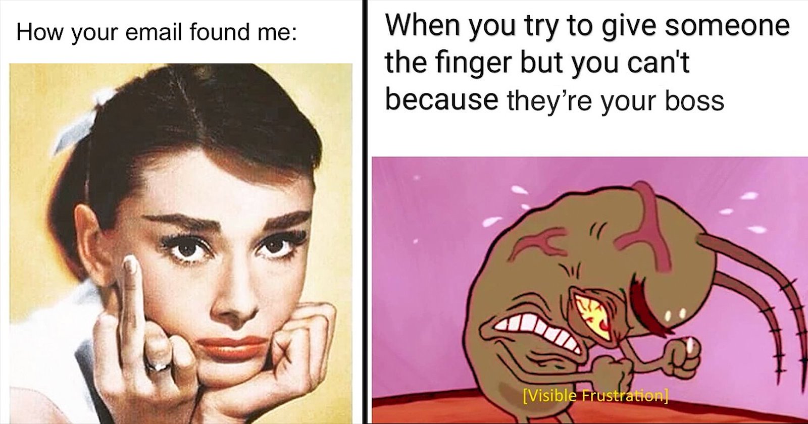 Funniest Middle Finger Memes to Send Your Work Bestie to Meme ...
