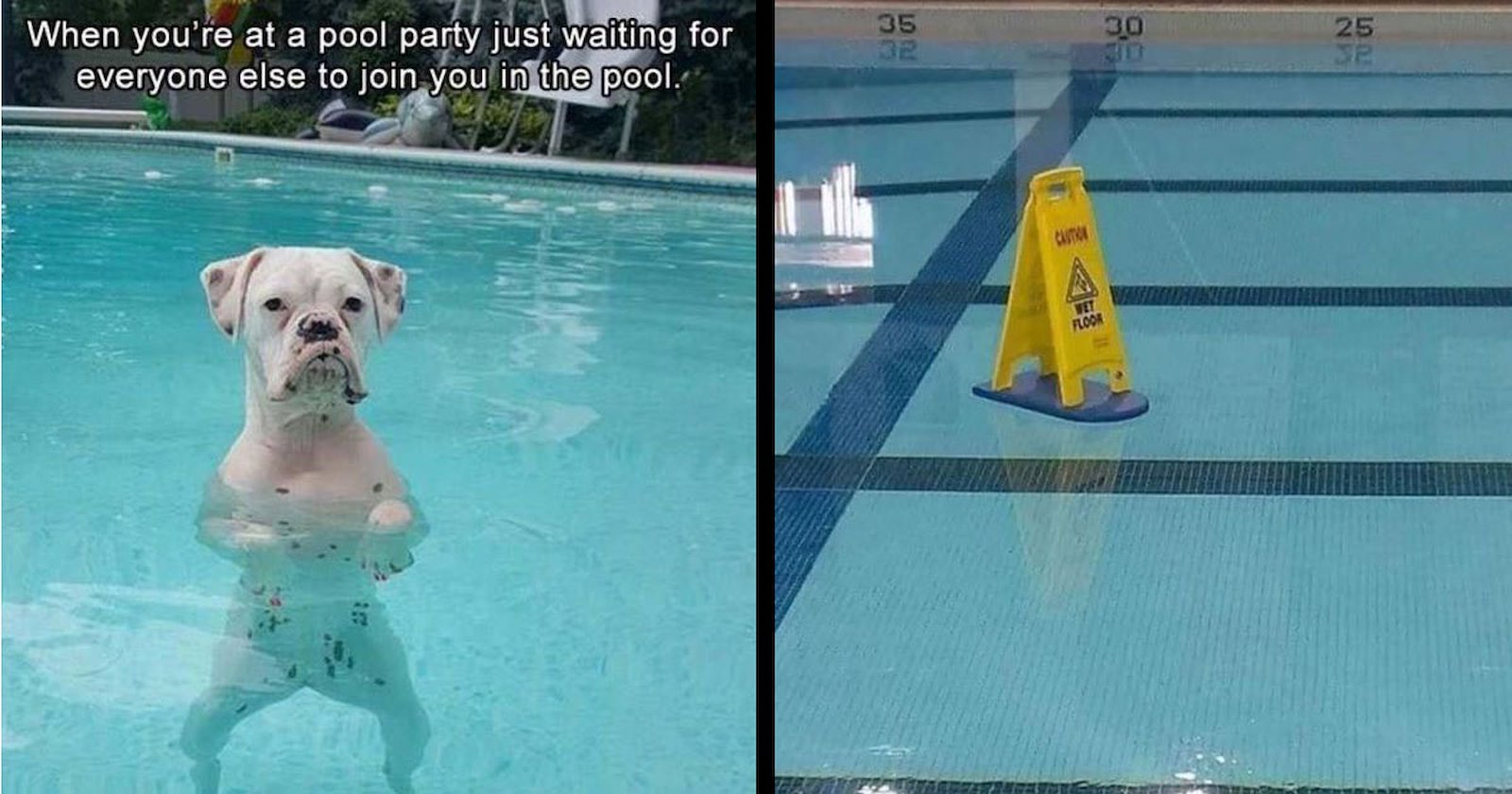 20+ Swimming Pool Memes For Diving Into Your 4th of July Celebration ...