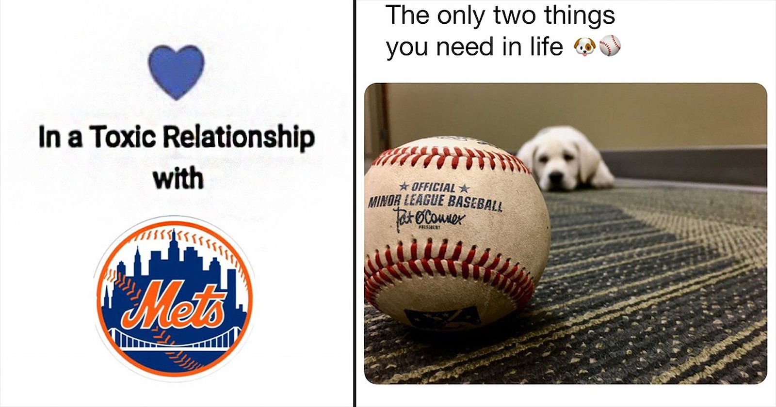21 Baseball Memes for MLB Fans Who Are Also Major League Meme Fans ...