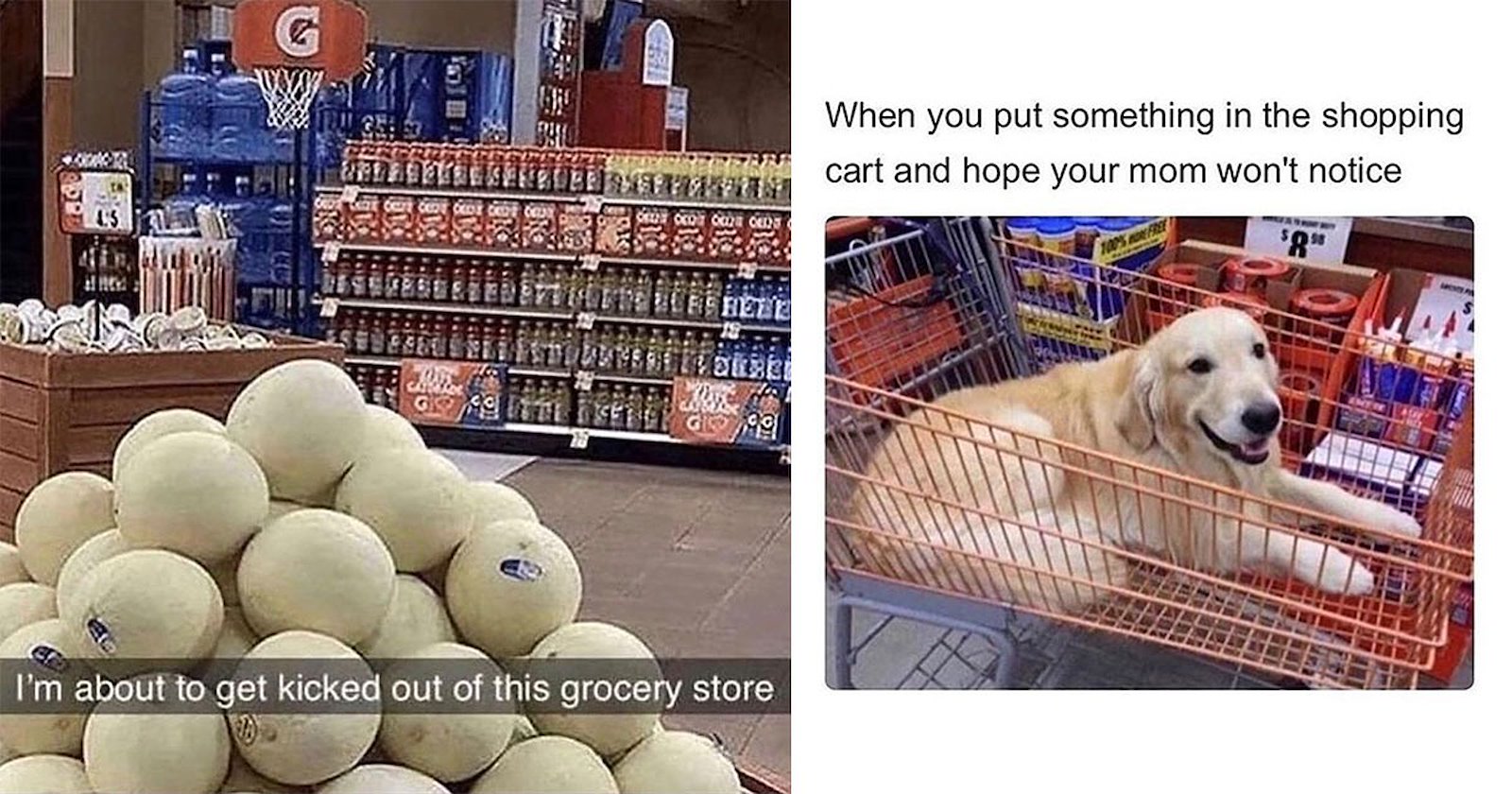 25+ Grocery Shopping Memes That Know Not to Shop on an Empty Stomach ...