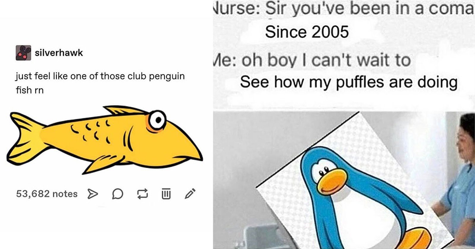 25+ Club Penguin Memes for 2000s Kids Still Mourning Their Puffles ...
