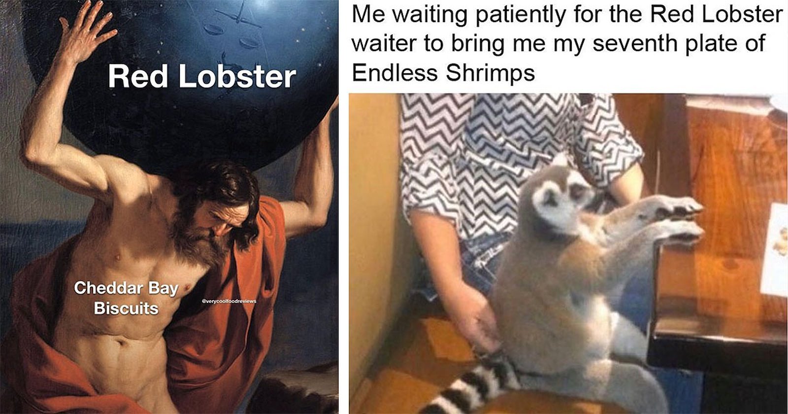 25 Red Lobster Memes Filling up on Cheddar Bay Biscuits - Memebase ...