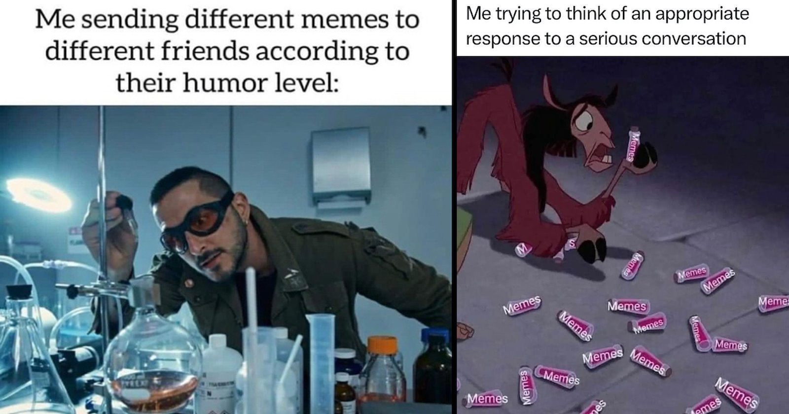25 Meta Memes for Meme Collectors Whose Main Hobby is Screenshotting ...
