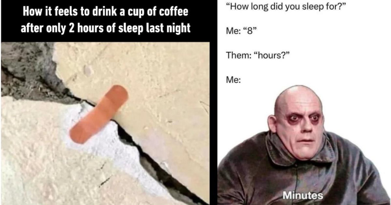 22 Lucid Memes for Late Night Doom-Scrollers Still Trolling for LOLs at ...