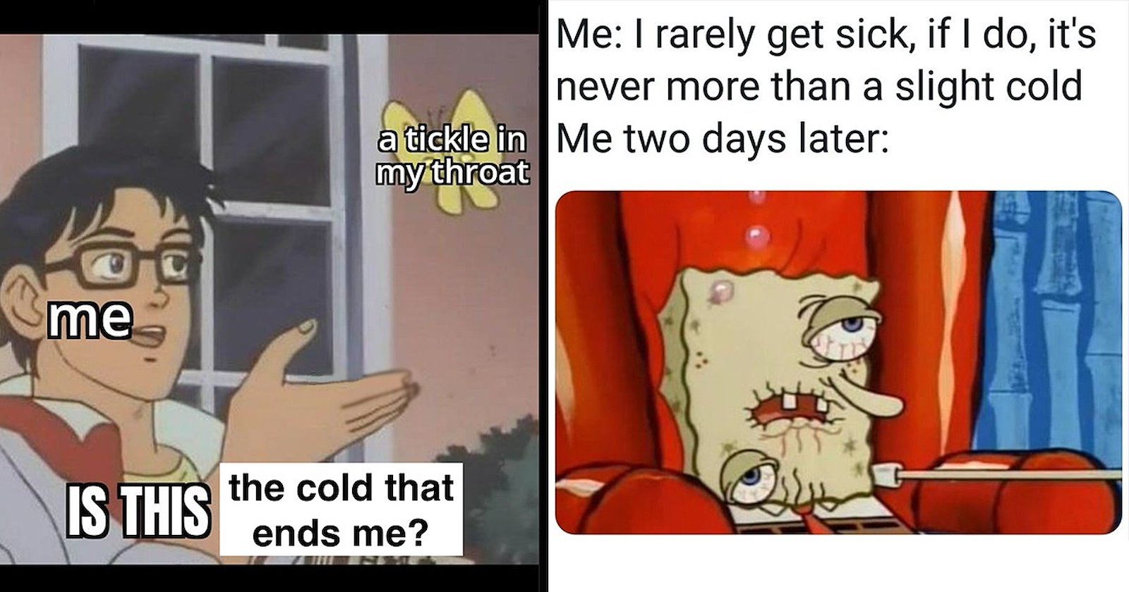 A Bowl of Chicken Meme-dles Soup for Anyone Already Suffering from Cold ...