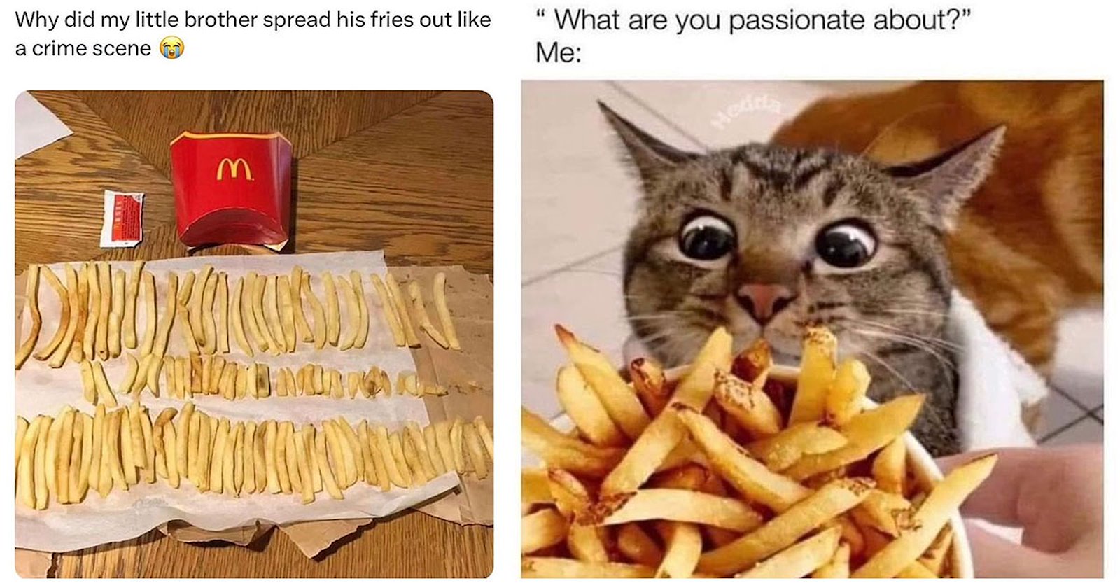 25+ Crispy French Fry Memes Served With a Side of Ketchup - Memebase ...