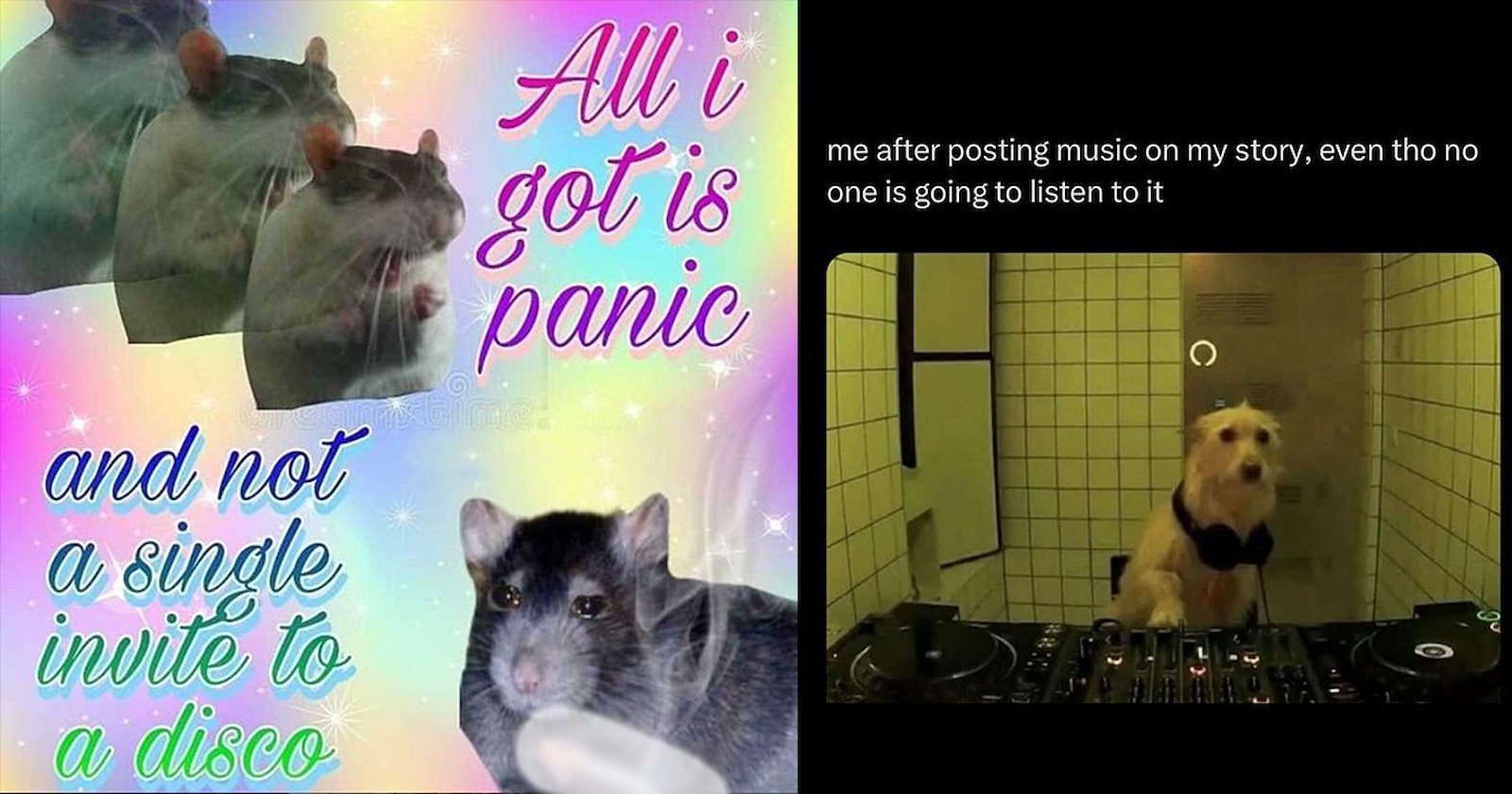 23 Funniest Memes for When the Vibes Are Just Off - Memebase - Funny Memes