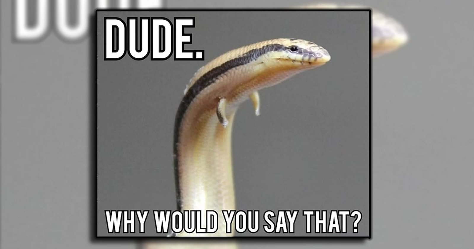 Memebase - midweek - All Your Memes In Our Base - Funny Memes - Cheezburger
